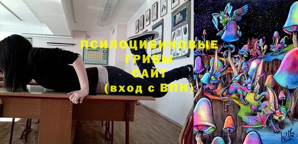 spice Липки