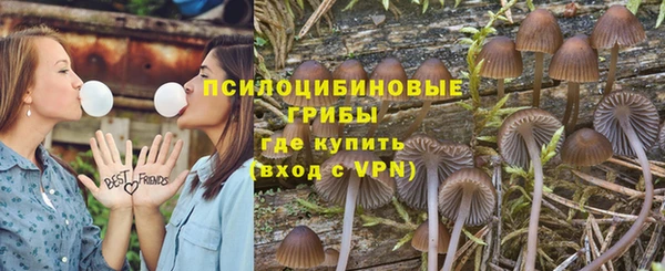 spice Липки