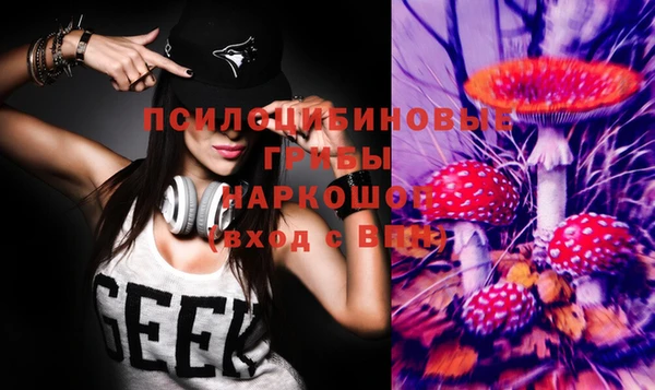 PSILOCYBIN Майский