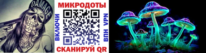 Псилоцибиновые грибы Cubensis  Кисловодск 